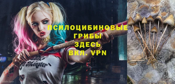 гидропоника Абдулино